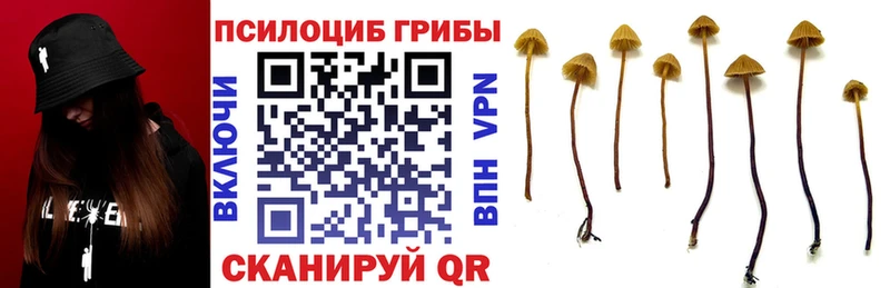 Галлюциногенные грибы Magic Shrooms Свирск